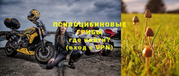 меф Дмитров