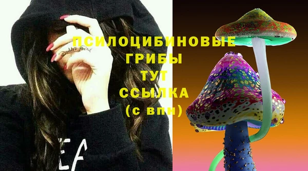 меф Дмитров